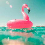 Flamingo floaty in the water