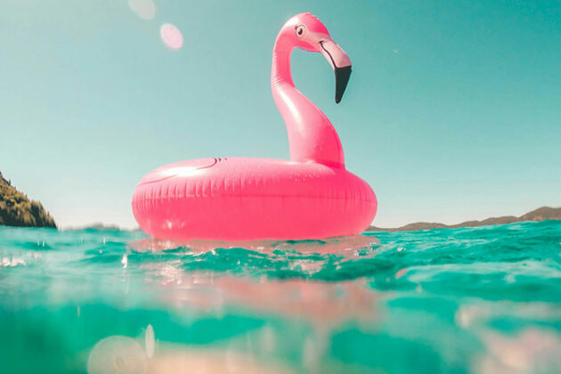 Flamingo floaty in the water