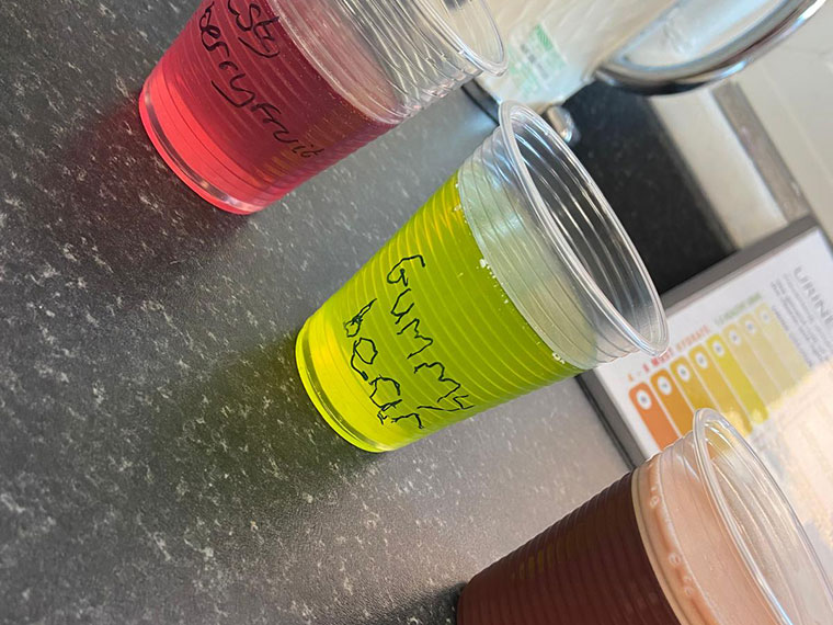 Cups containing different coloured drinksfrom the experiment