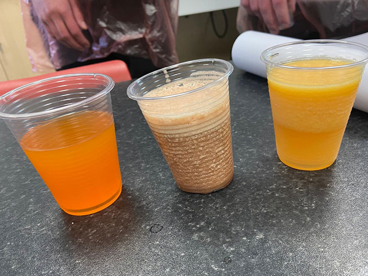 Cups containing different coloured drinksfrom the experiment
