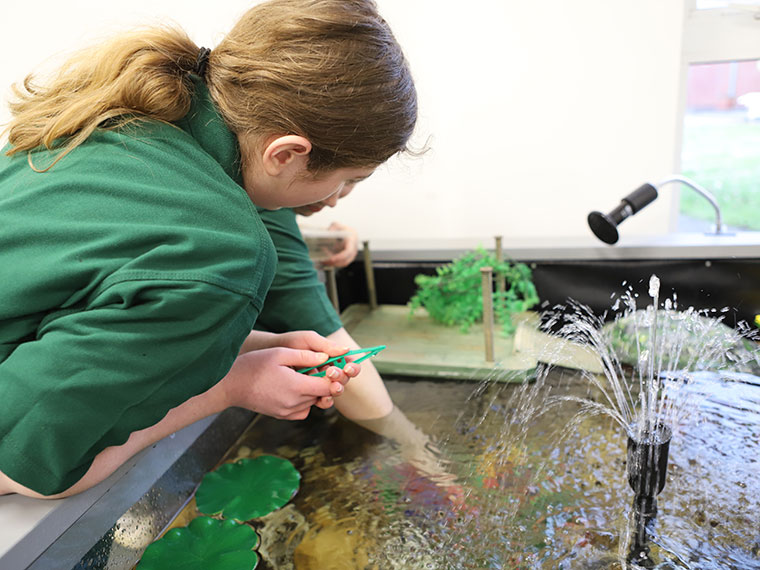 Two animal care students looking at animals in some water
