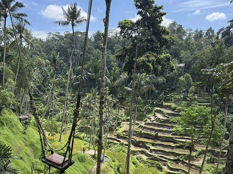 A stunning view of a swing, greenery, steps and blue skies