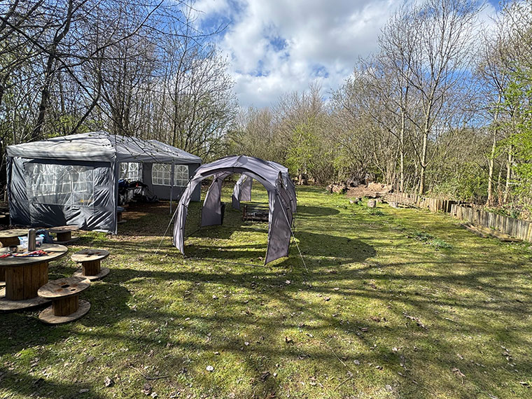 A view of the woodland where Protective Services students were transforming derelict land