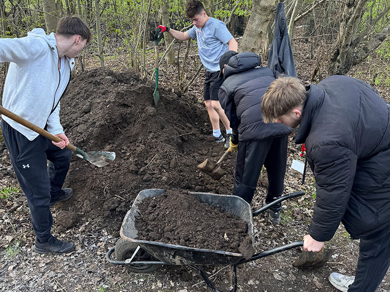 A group of students digging soil and putting it into a wheel barrow