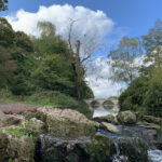 A scenic view of the bridge at Clumber Park