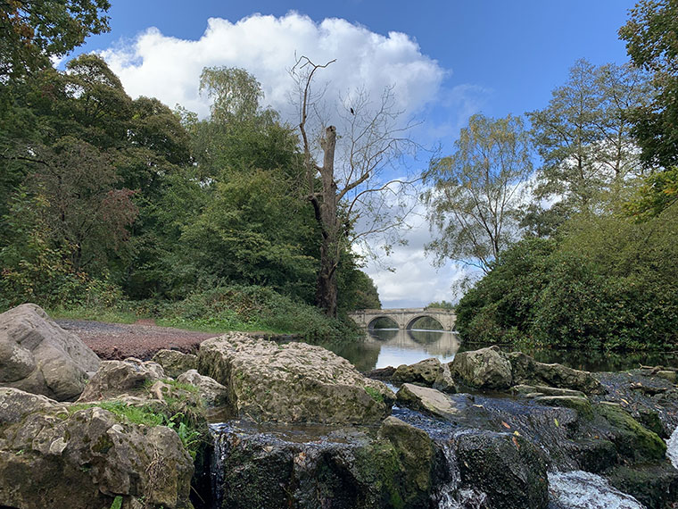 A scenic view of the bridge at Clumber Park