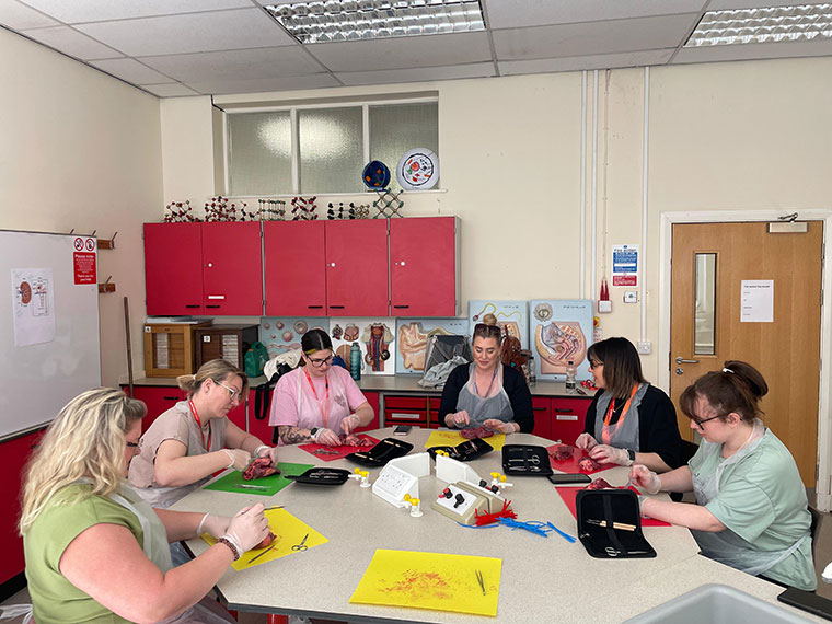 Five people sat around a round table dissecting hearts