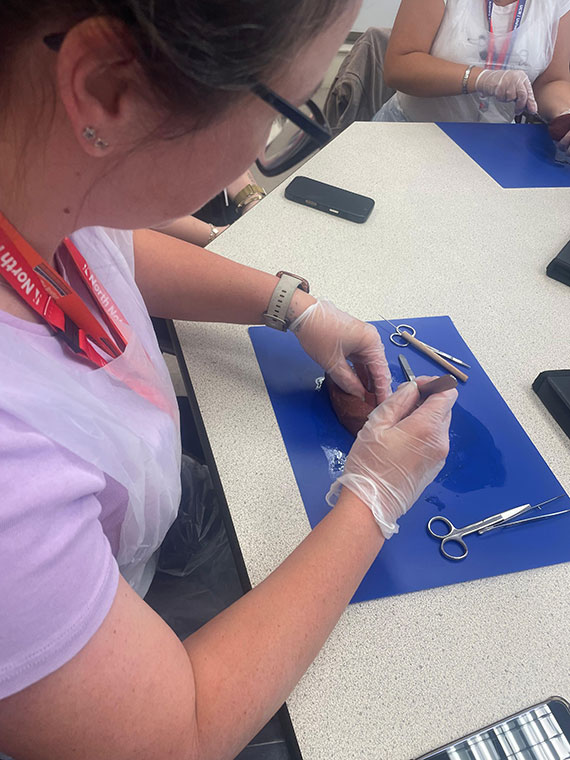 Looking over a student's shoulder whilst they dissect a heart