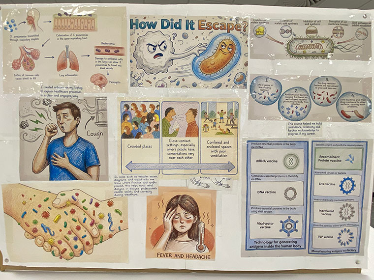 A large poster showing various diagrams of people and organs