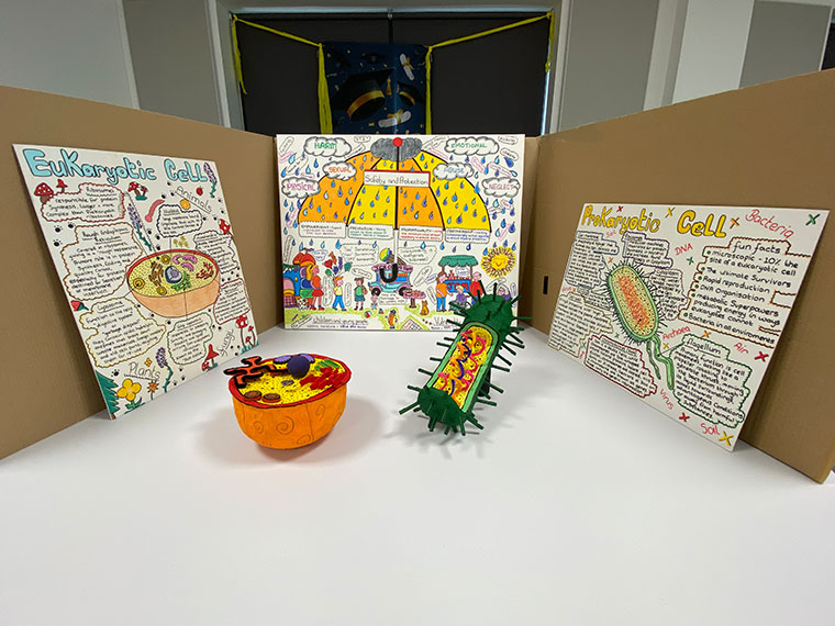 Three posters with diagrams and text on them, two 3D models in front of them